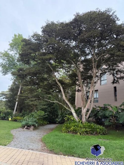 Apartamento de 2 alcobas en venta en Llano Grande, Rionegro, 95 m² · foto 12 de 13