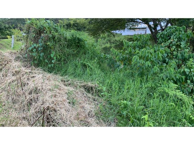 Lote en venta en La Trinidad, Manizales, 2450 m² · foto 2 de 14