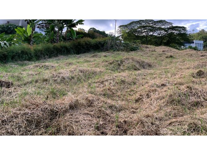 Lote en venta en La Trinidad, Manizales, 2450 m² · foto 4 de 14