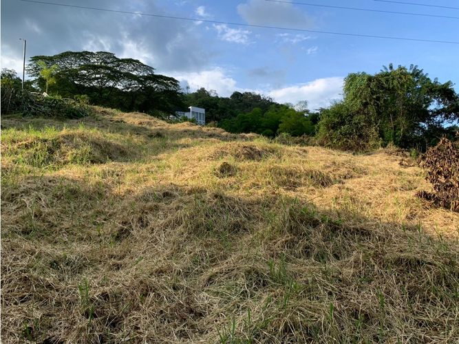 Lote en venta en La Trinidad, Manizales, 2450 m² · foto 6 de 14