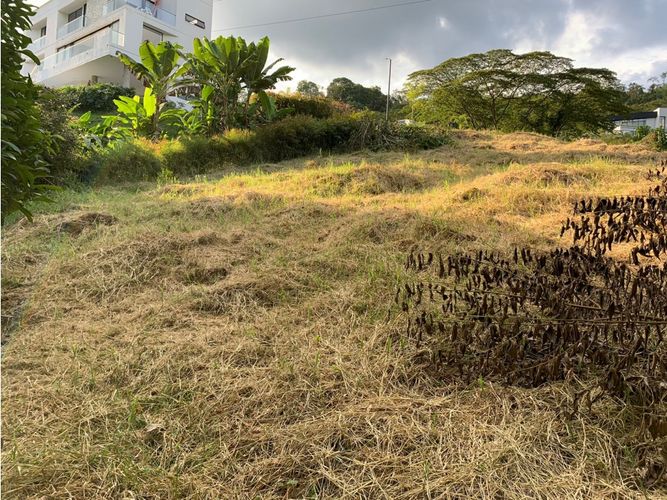 Lote en venta en La Trinidad, Manizales, 2450 m² · foto 7 de 14