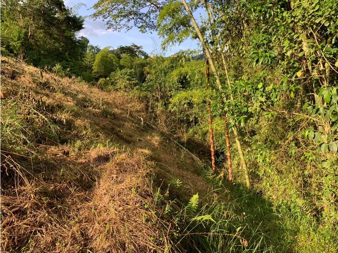Lote en venta en La Trinidad, Manizales, 2450 m² · foto 9 de 14