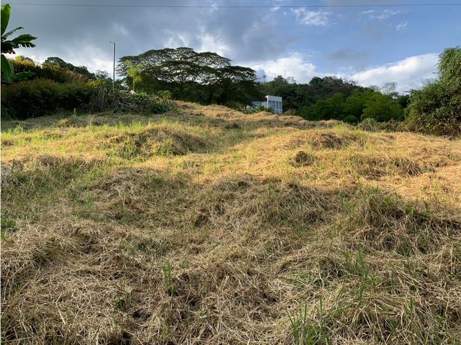 Lote en venta en La Trinidad, Manizales, 2450 m² · foto 10 de 14
