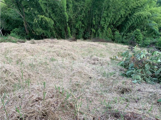 Lote en venta en La Trinidad, Manizales, 2450 m² · foto 12 de 14