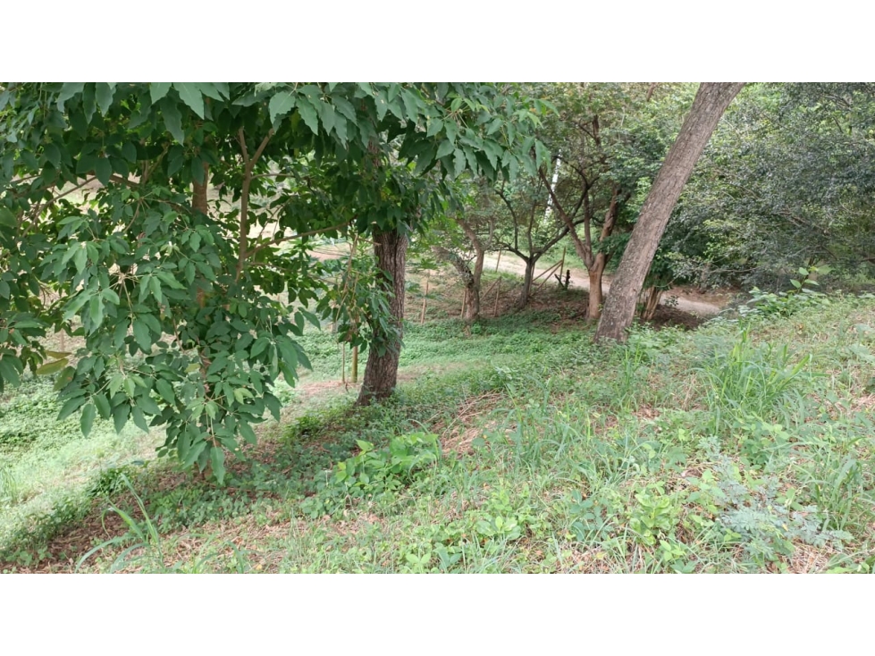 Land in Santafe de antioquia (3400 m²) for Sale - 2
