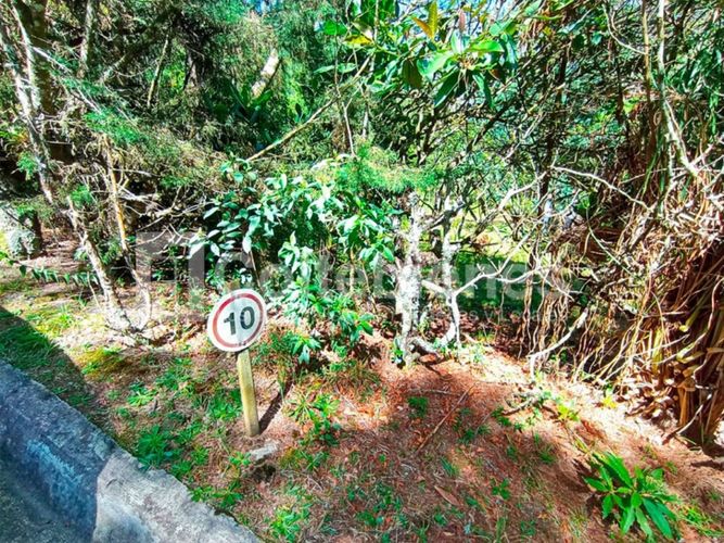 Lote en venta en Pantanillo, El Retiro · foto 2 de 18