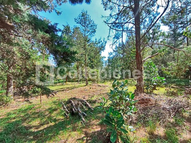 Lote en venta en Pantanillo, El Retiro · foto 3 de 18