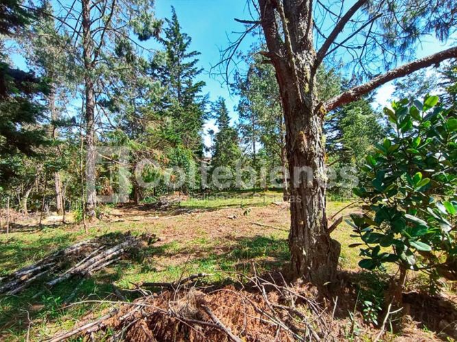 Lote en venta en Pantanillo, El Retiro · foto 4 de 18