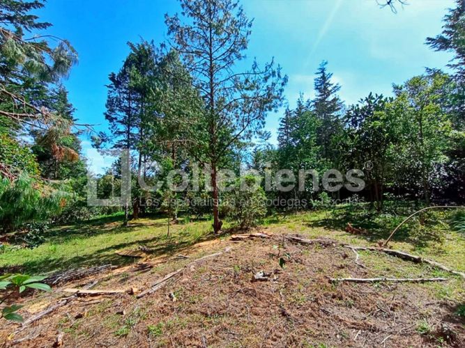 Lote en venta en Pantanillo, El Retiro · foto 5 de 18