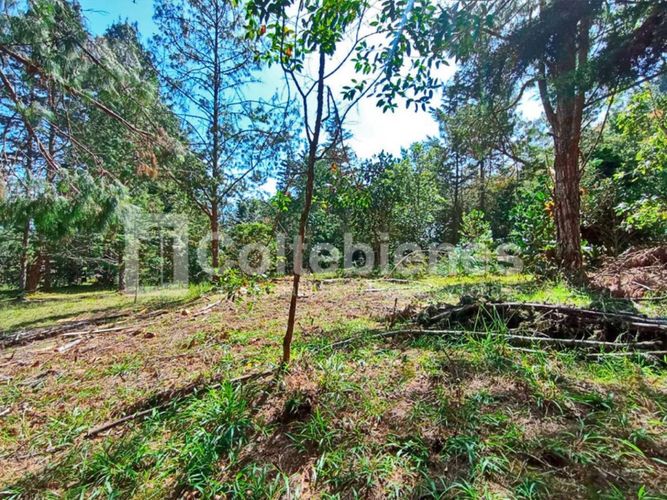 Lote en venta en Pantanillo, El Retiro · foto 6 de 18