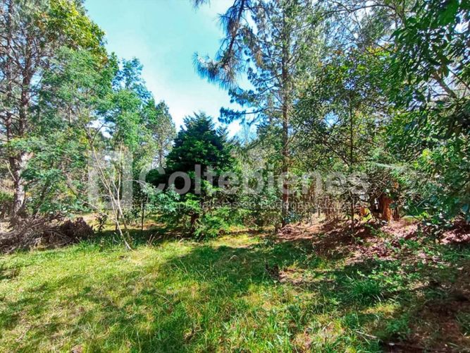 Lote en venta en Pantanillo, El Retiro · foto 7 de 18
