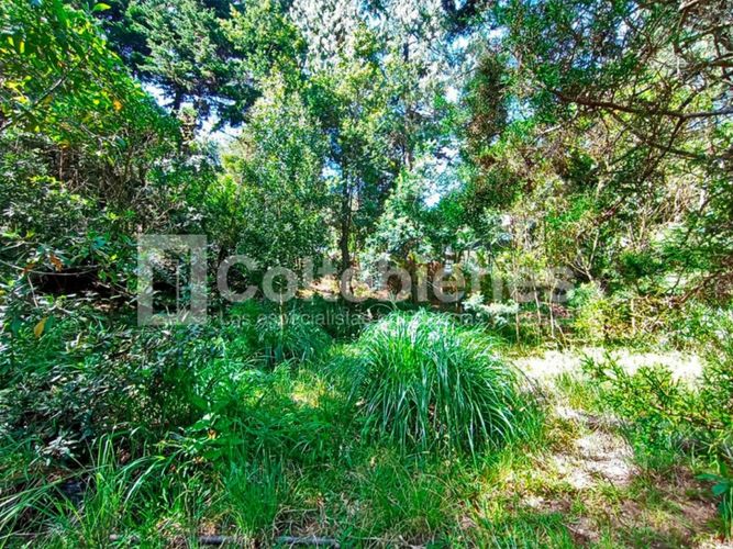 Lote en venta en Pantanillo, El Retiro · foto 8 de 18