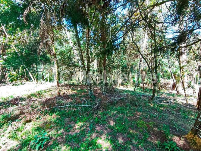 Lote en venta en Pantanillo, El Retiro · foto 9 de 18