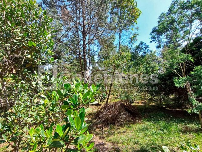 Lote en venta en Pantanillo, El Retiro · foto 10 de 18