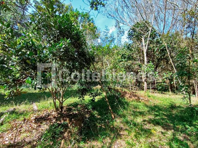 Lote en venta en Pantanillo, El Retiro · foto 11 de 18