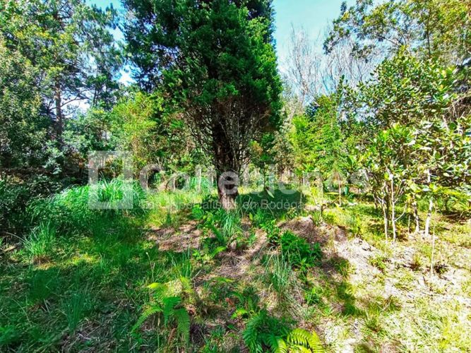 Lote en venta en Pantanillo, El Retiro · foto 14 de 18