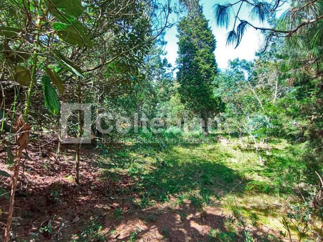Lote en venta en Pantanillo, El Retiro · foto 15 de 18