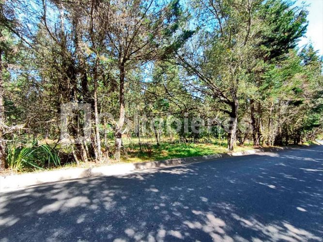 Lote en venta en Pantanillo, El Retiro · foto 16 de 18