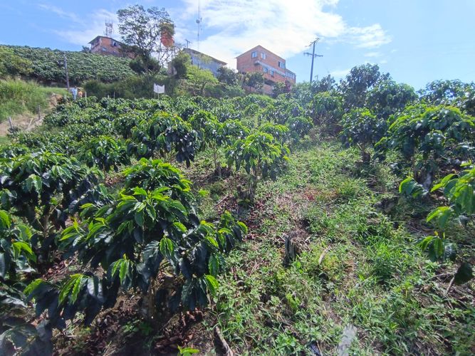 Lote en venta en Las Pavas, Manizales · foto 4 de 13