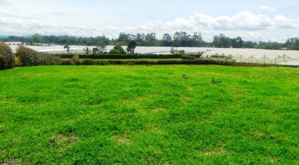 Land in Cabeceras de llanogrande (3314 m²) for Sale