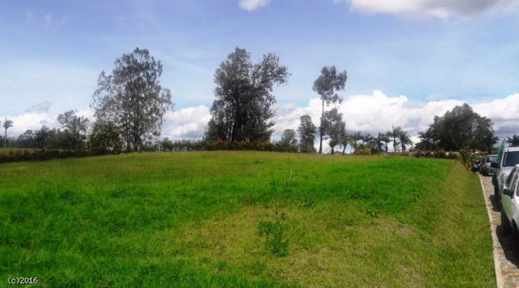 Land in Cabeceras de llanogrande (3314 m²) for Sale - 2