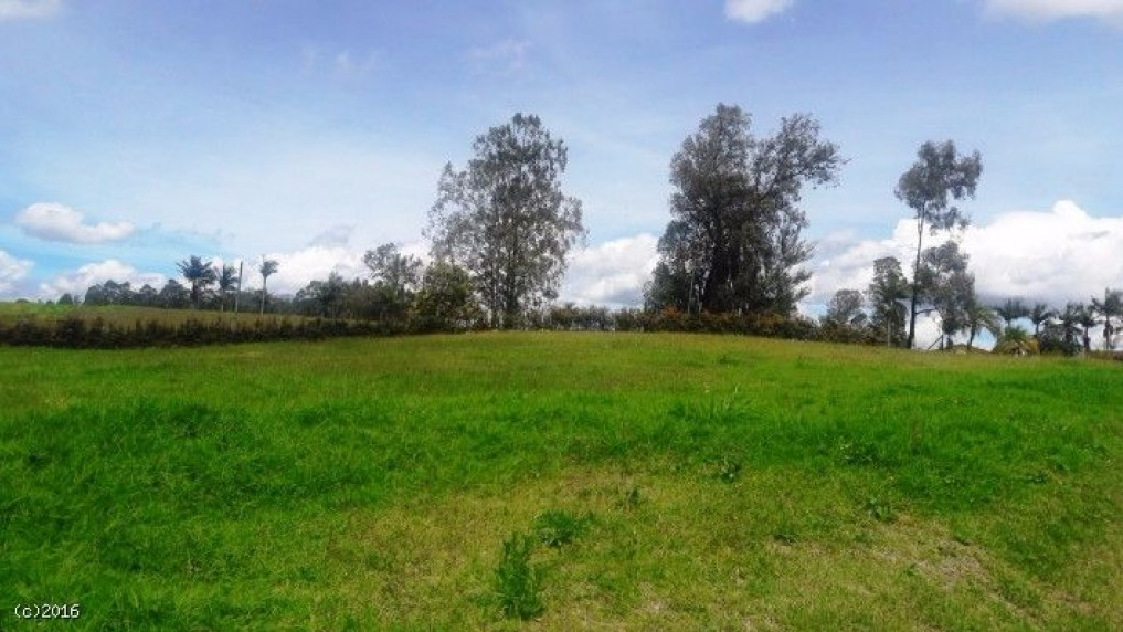 Land in Cabeceras de llanogrande (3314 m²) for Sale - 3