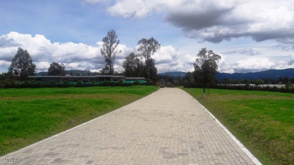Land in Cabeceras de llanogrande (3314 m²) for Sale - 4