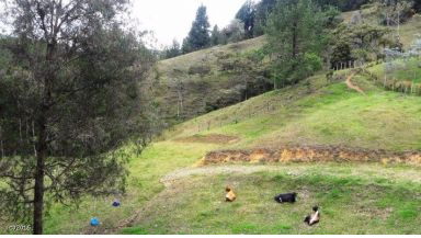 Land in Los salados for Sale