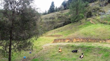 Land in Los salados for Sale - 2