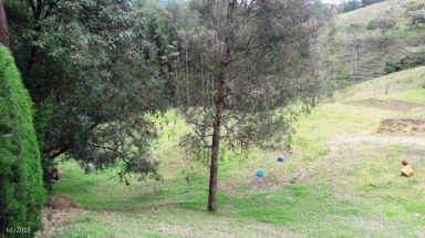 Land in Los salados for Sale - 3