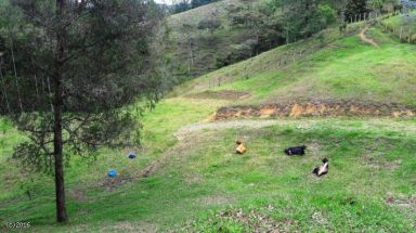 Land in Los salados for Sale - 4