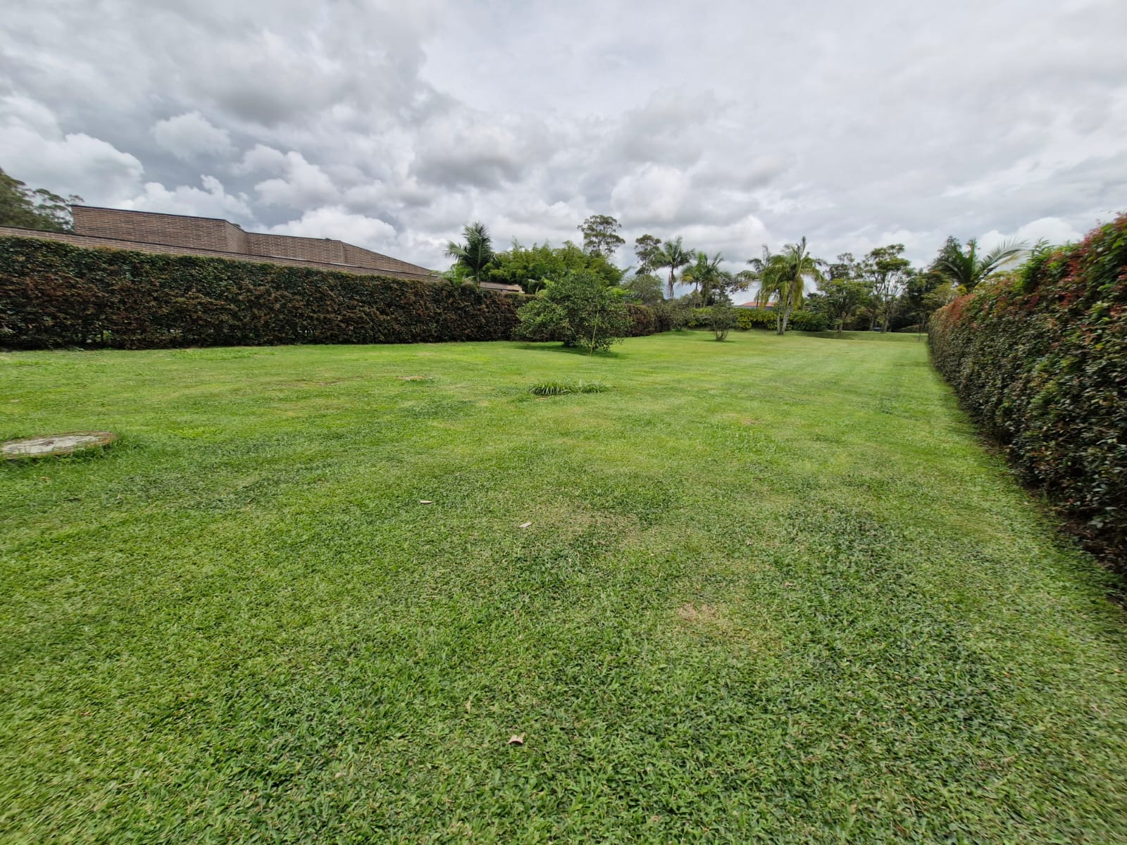 Land in Cabeceras de llanogrande (306 m²) for Sale