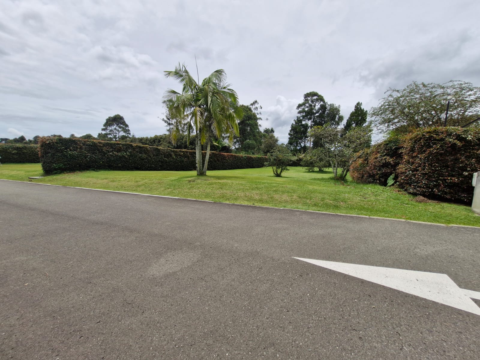 Land in Cabeceras de llanogrande (306 m²) for Sale - 2