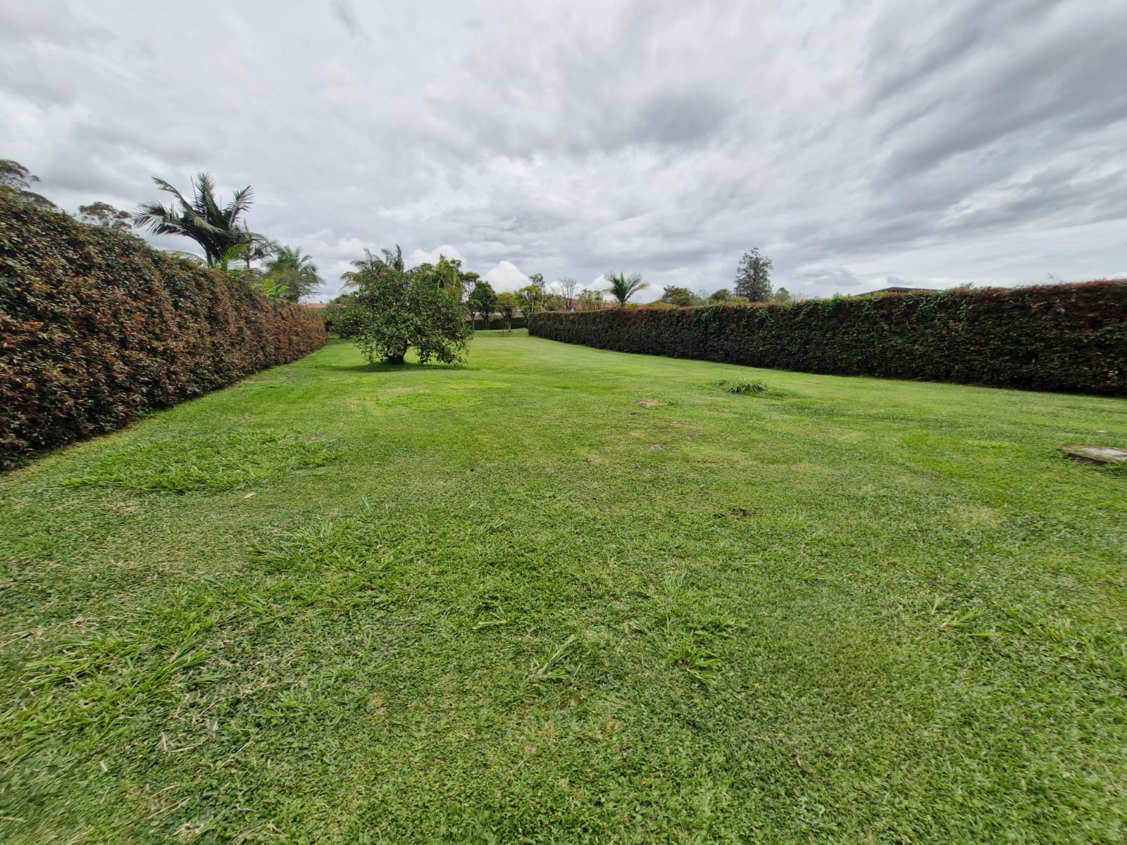 Land in Cabeceras de llanogrande (306 m²) for Sale - 3