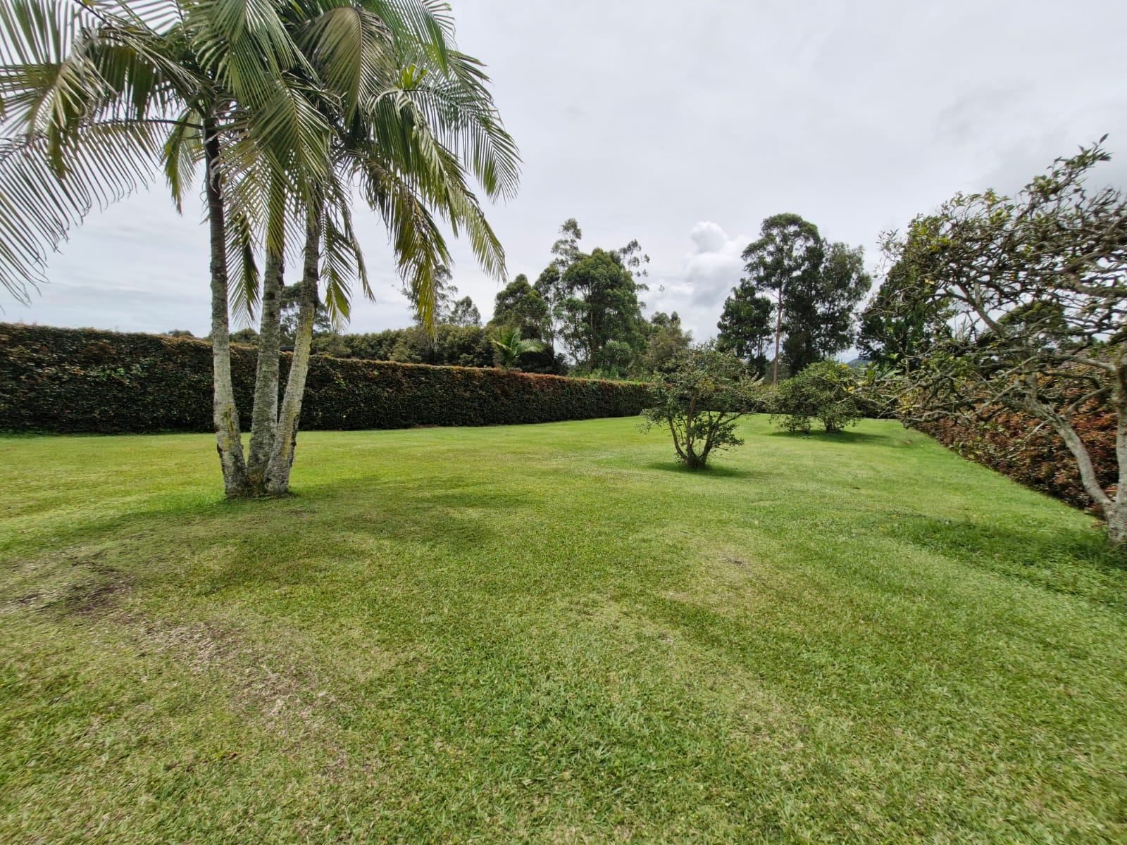 Land in Cabeceras de llanogrande (306 m²) for Sale - 4