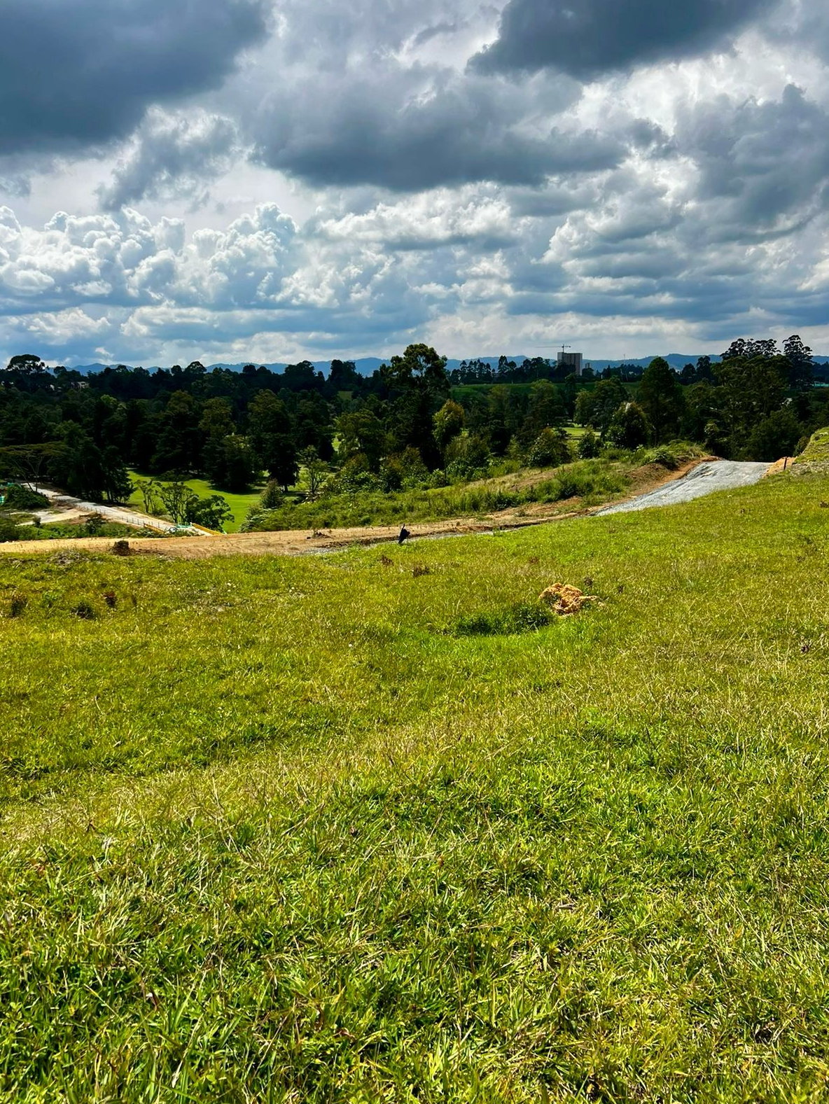 Land in El rosal (790 m²) for Sale