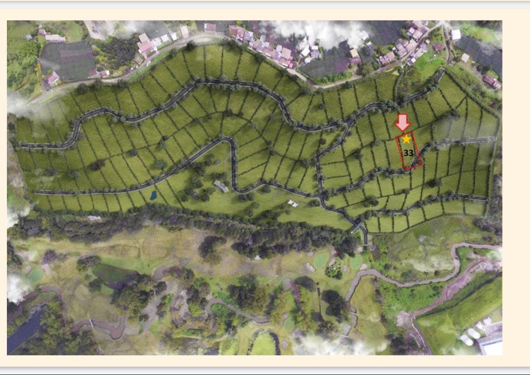 Lote en Venta en La Macarena, Rionegro - 2