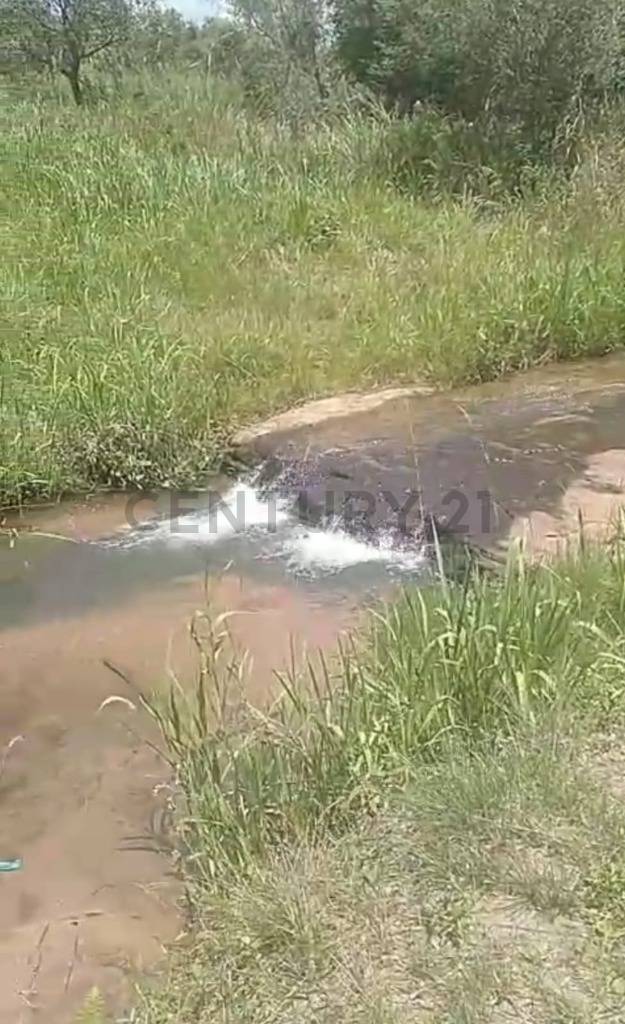 Vendo hermosa propiedad con arroyo en Paraguarí — foto 3
