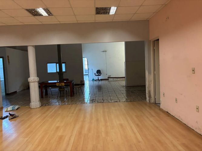 Alquiler Local Comercial de 200 m² + Casa con Patio verde al fondo en pleno Cordón · Foto 7