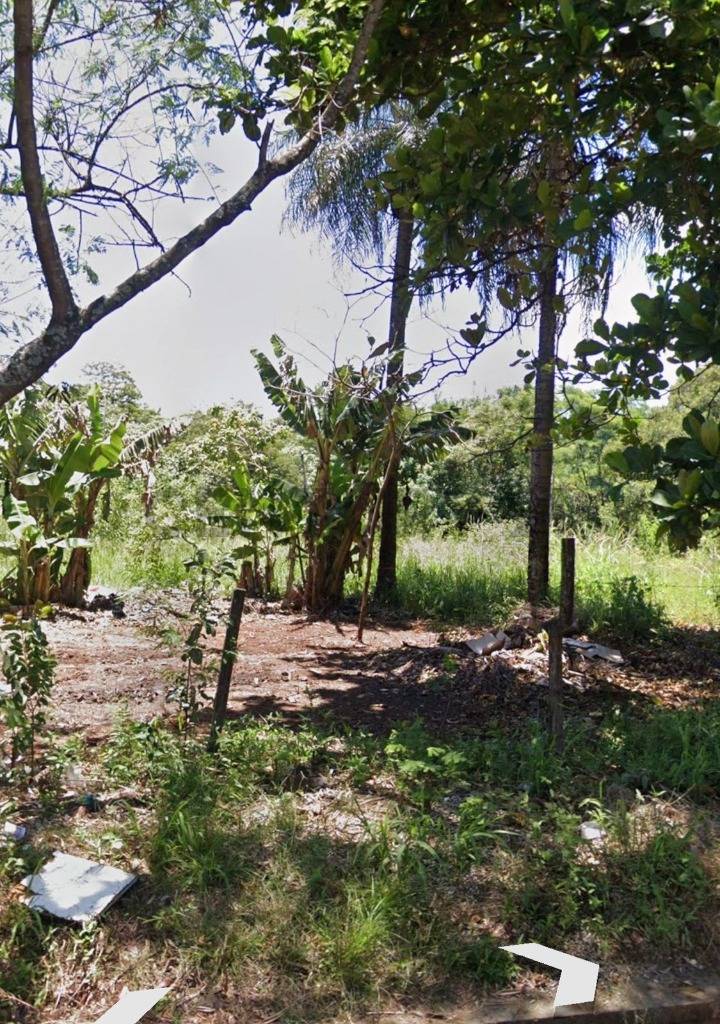 EN VENTA 6 LOTES A UNA CUADRA Y MEDIA DE LA AVENIDA SAN JOSE — foto 3