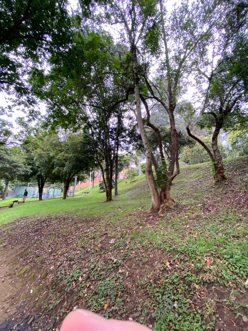 Apartamento en venta en Club De Los Lagartos, Bogotá · foto 15 de 15