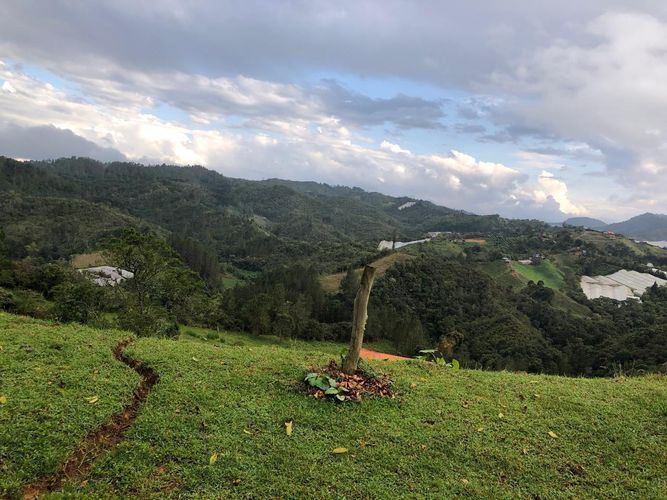 Finca en venta en Guarne, 2476 m² · foto 10 de 22