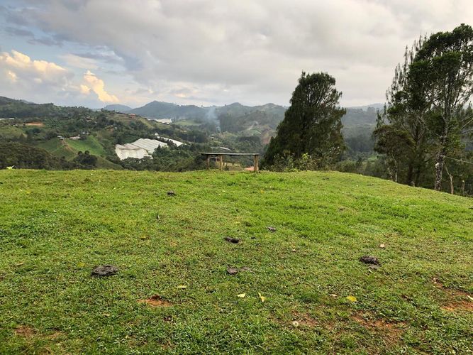 Finca en venta en Guarne, 2476 m² · foto 16 de 22