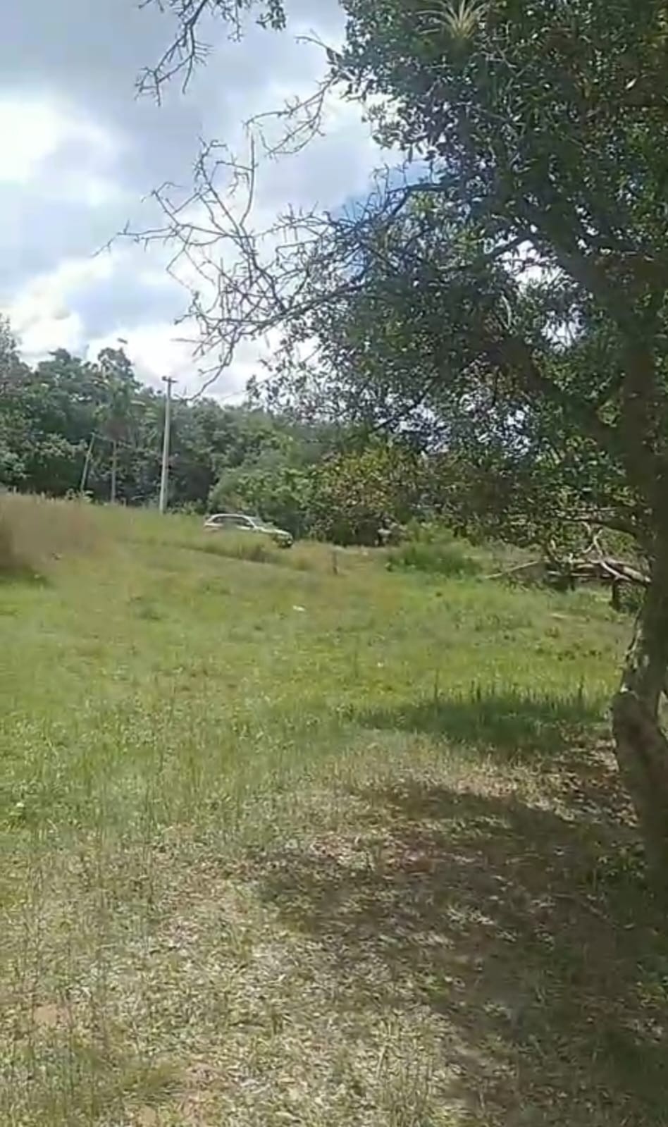 Vendo fabulosa propiedad con arroyo en Mbatovi Paraguari — foto 2