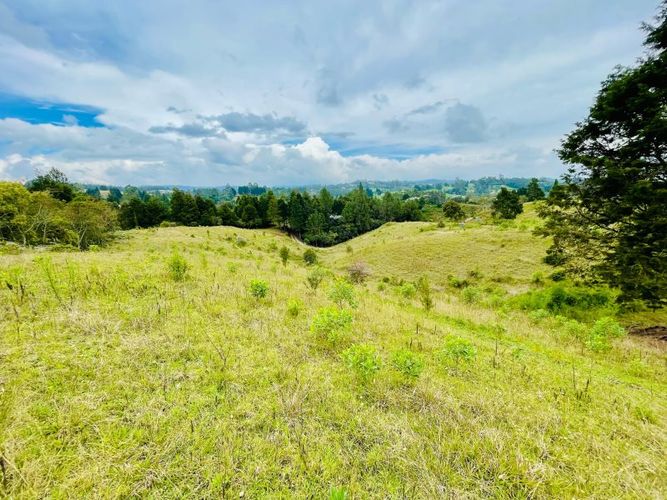 Lote en venta en La Brizuela, Guarne, 5799 m² · foto 2 de 6