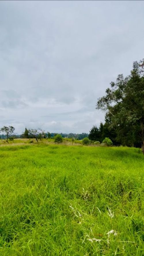 Lote en venta en La Brizuela, Guarne, 5799 m² · foto 4 de 6