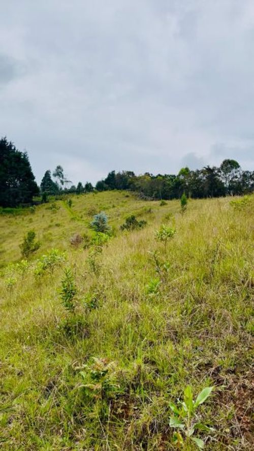 Lote en venta en La Brizuela, Guarne, 5799 m² · foto 5 de 6