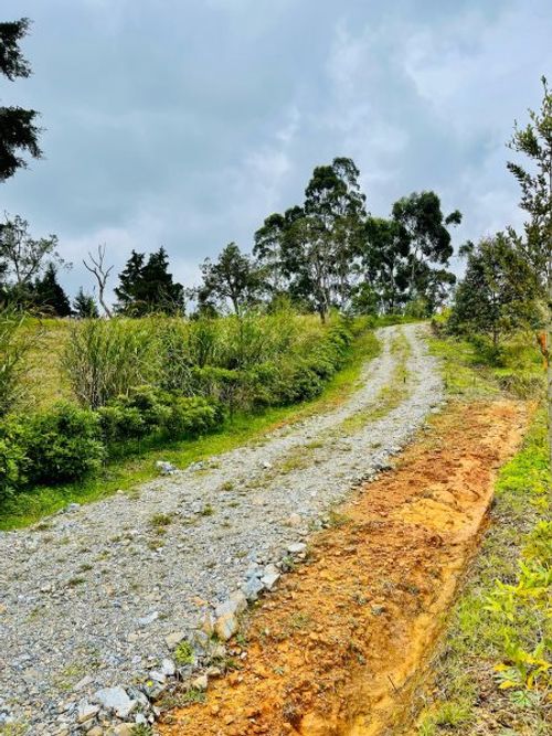 Lote en venta en La Brizuela, Guarne, 6008 m² · foto 7 de 7
