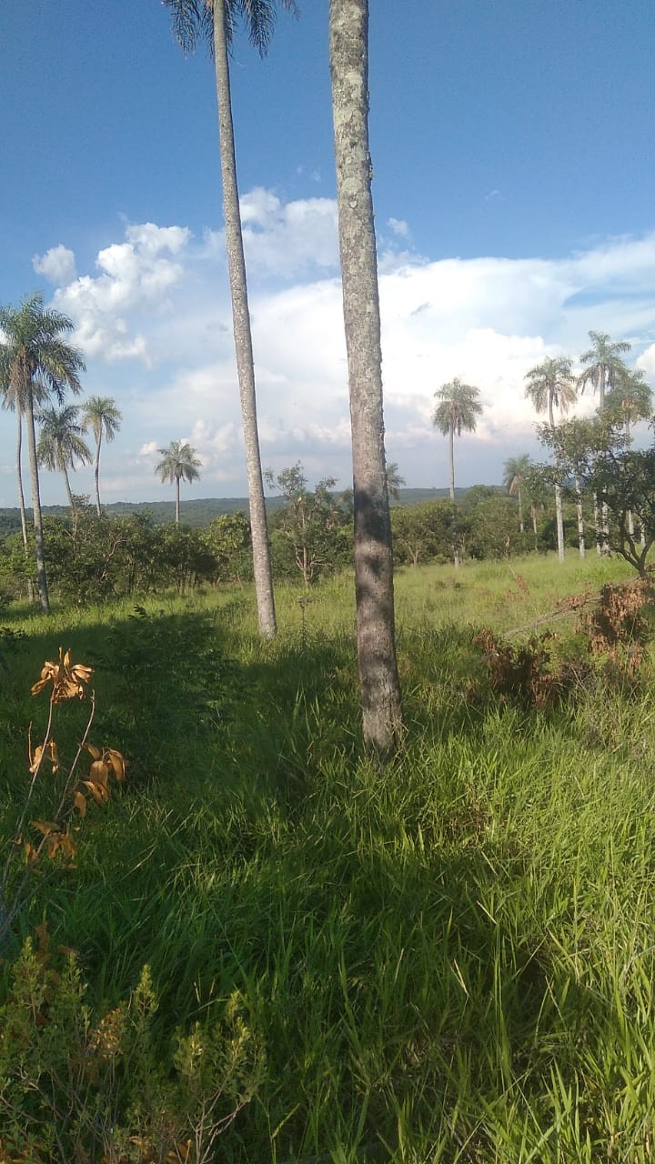 Vendo fabulsa propiedad en Paraguari - Mbatovi — foto 2
