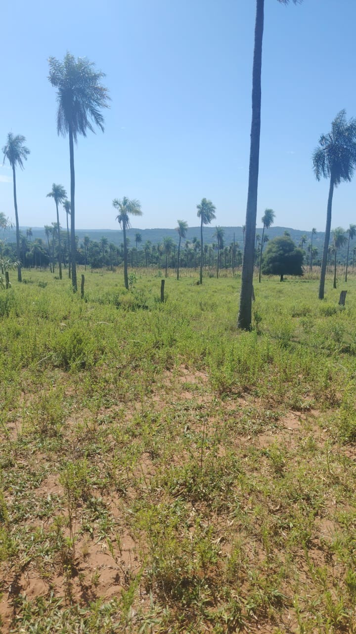 Vendo fabulsa propiedad en Paraguari - Mbatovi — foto 3